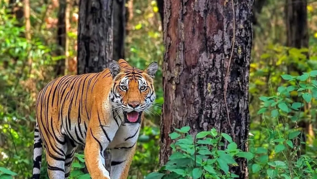 Untitled design (49)