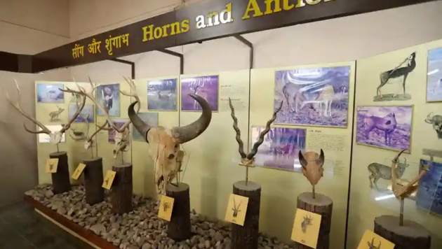 Kanha Museum